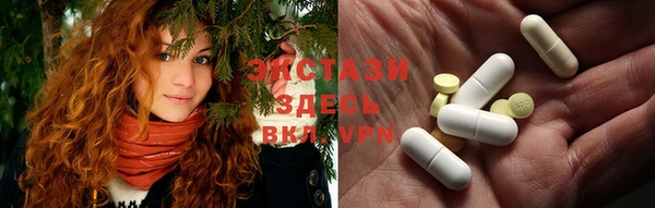 сатива Верея