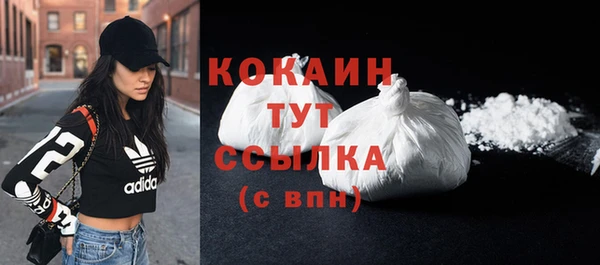 сатива Верея