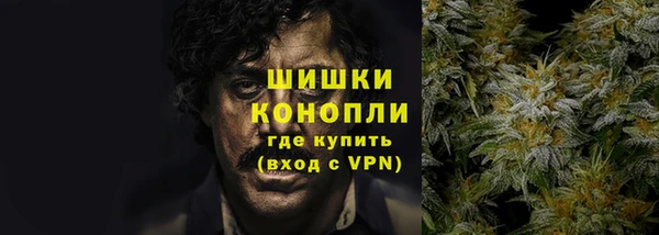 сатива Верея