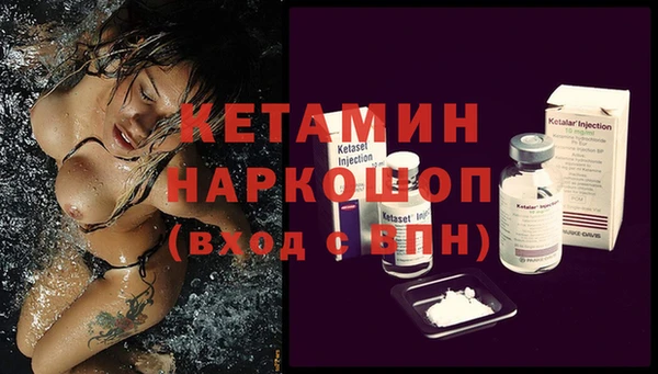 сатива Верея