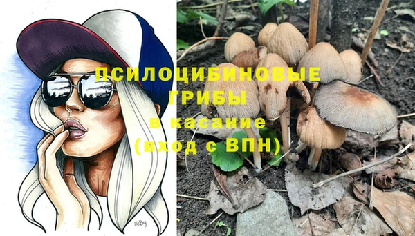 сатива Верея