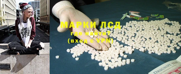 сатива Верея