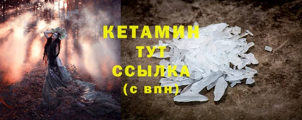сатива Верея