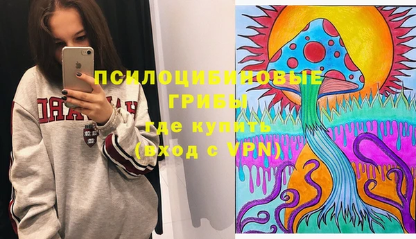 2c-b Верхний Тагил