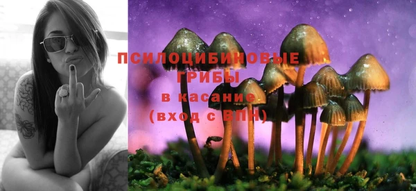 2c-b Верхний Тагил